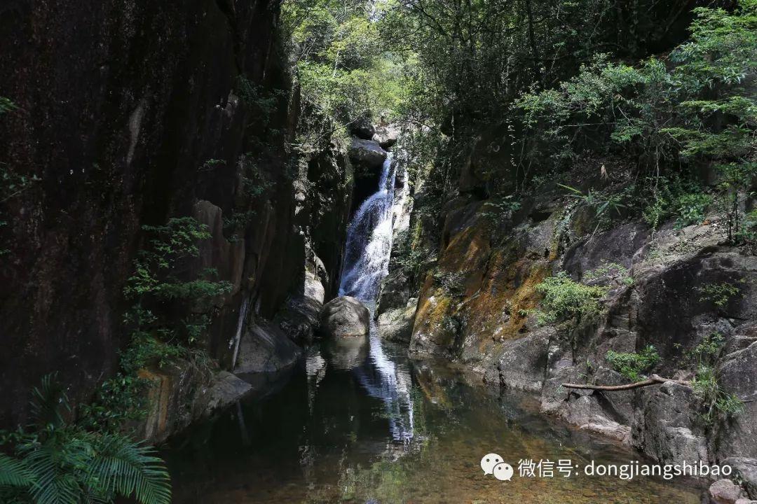 植物大战僵尸3